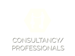 Consultancy / Proffessionals